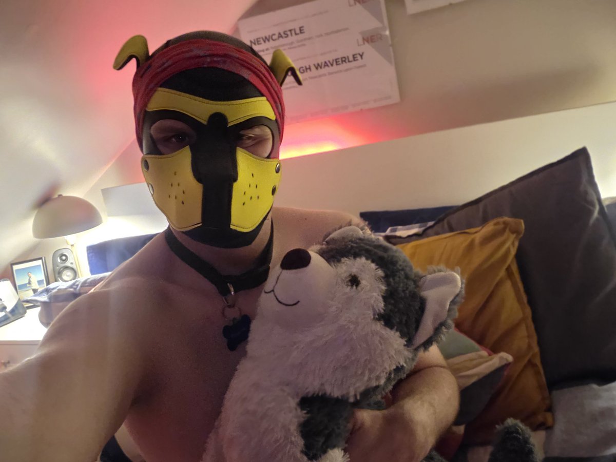 Pup Bonkers tweet media