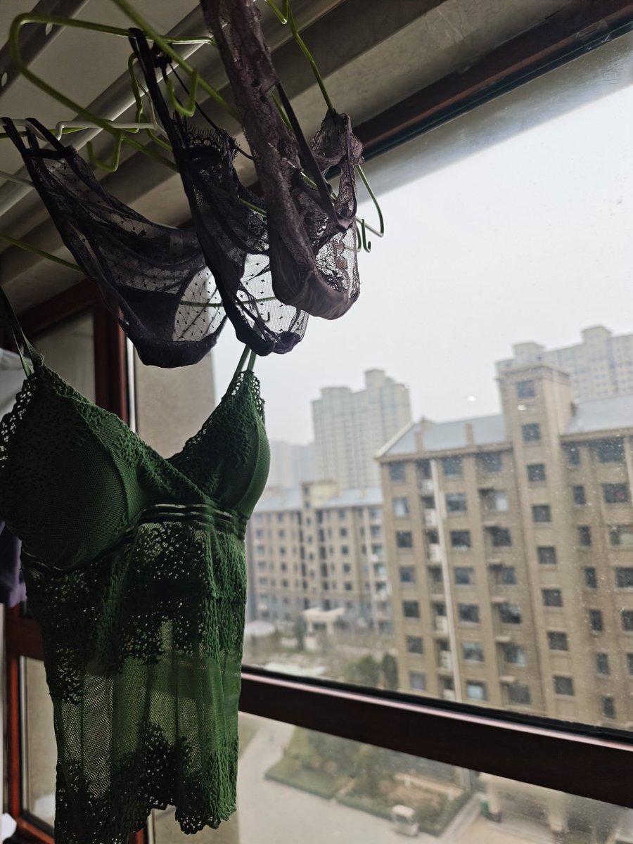我的律师老婆👙 tweet media
