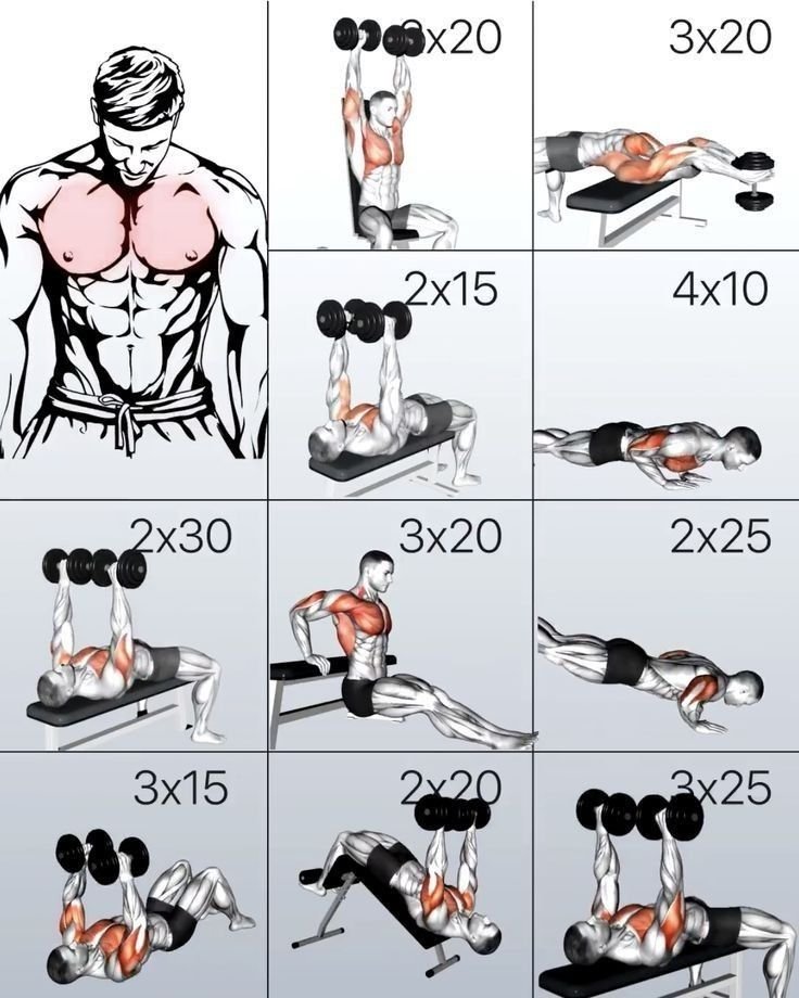 Complete Chest Workout