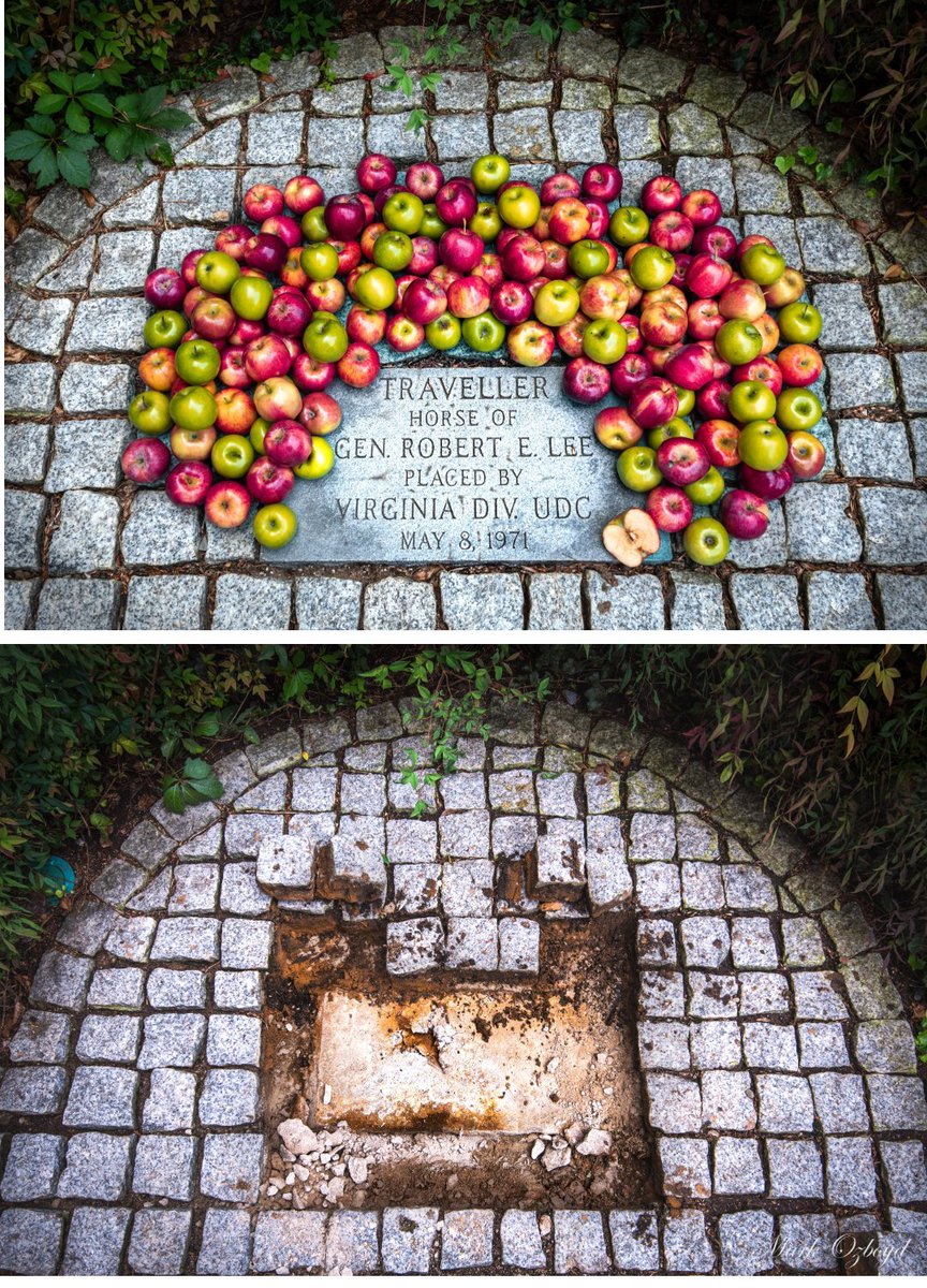 Will_Tanner_1's tweet image. Yes, this really happened  

Traveller is buried next to Lee Chapel (renamed "University Chapel" by the craven W&amp;amp;L Board, and continually closed off for renovation), where General Lee and the Lee family is buried  

At one point, W&amp;amp;L ripped up Traveller's headstone and desecrated…
