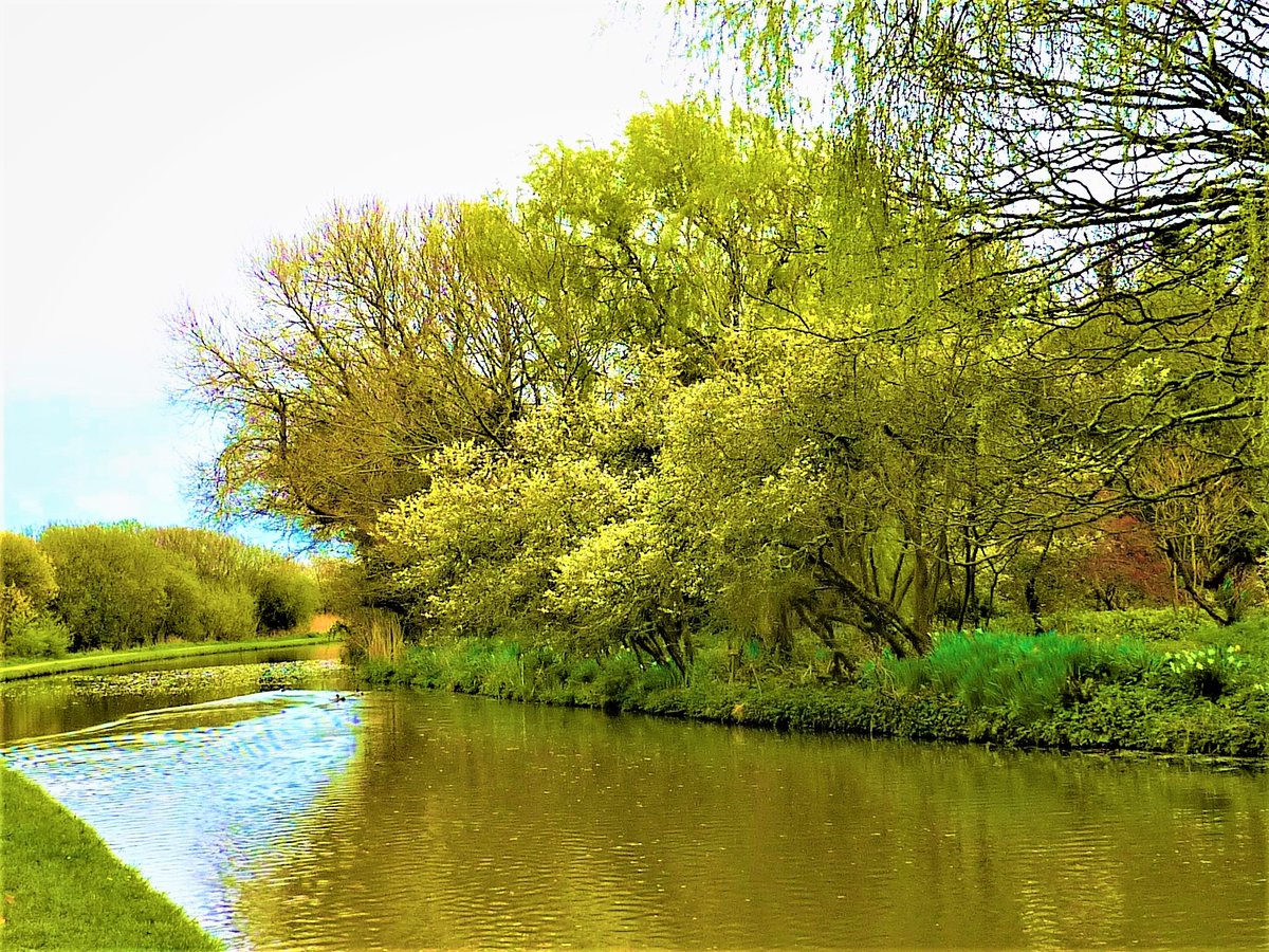 Patriciakbess2's tweet image. Spring.