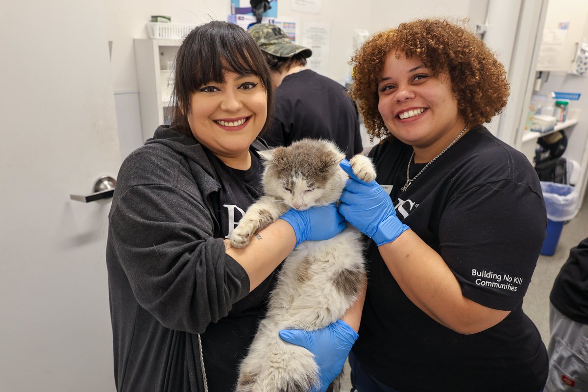 PAWSChicago tweet media