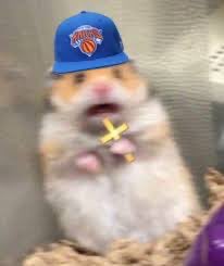 timreve's tweet image. 