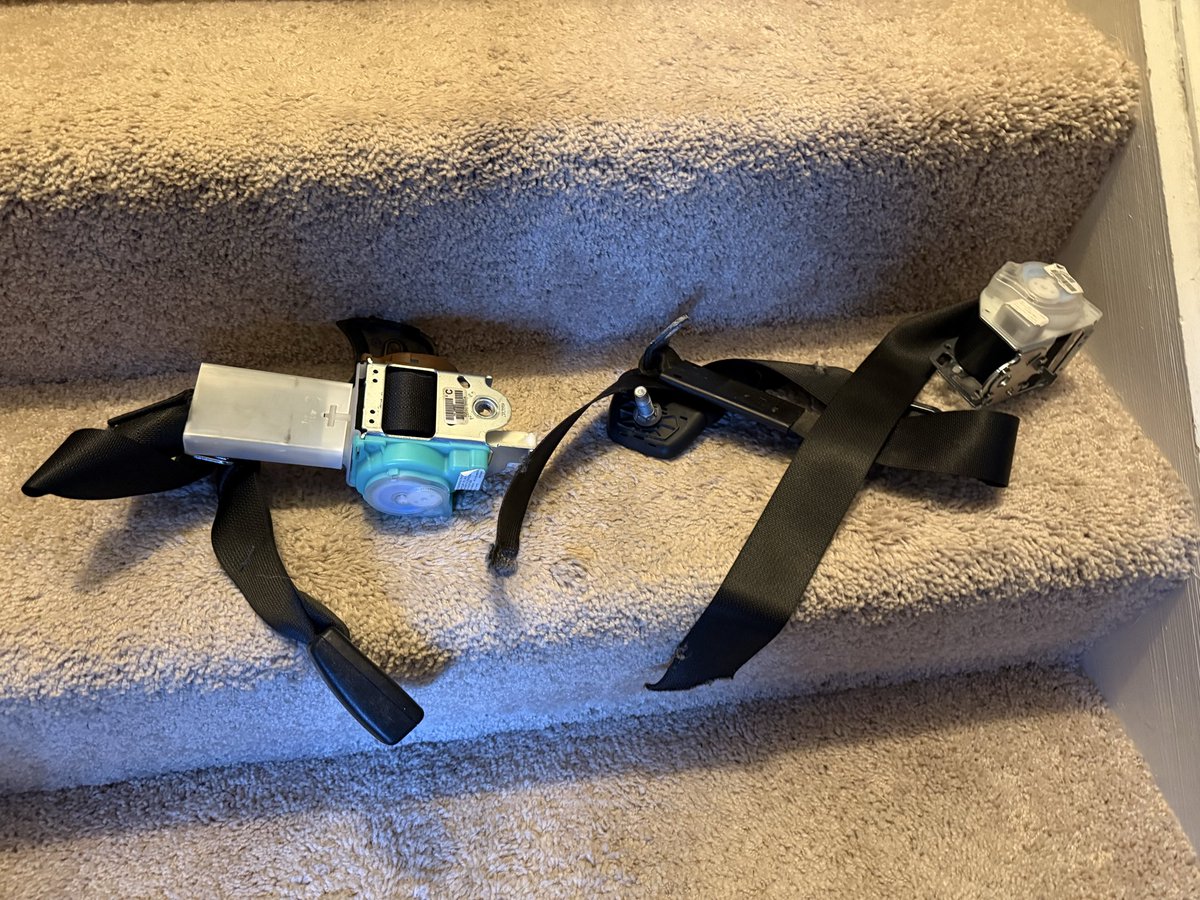 Wolf, Chaz | Type II | Isu Qty. 1 tweet media