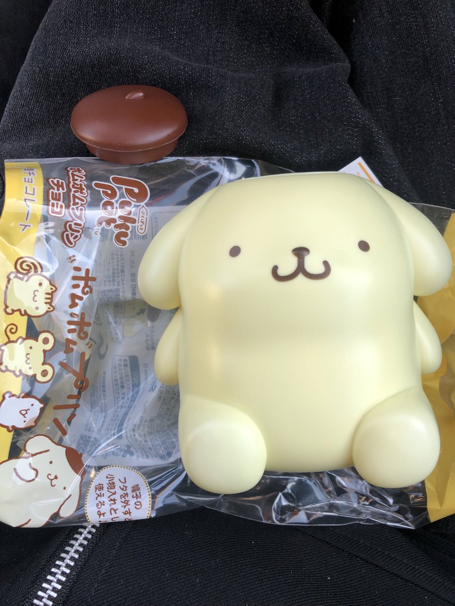 ぽんぽむ❄️ 様リクエスト⭐️2862 ハゲでちゅ〜🐹🍮 #ポムポムプリン