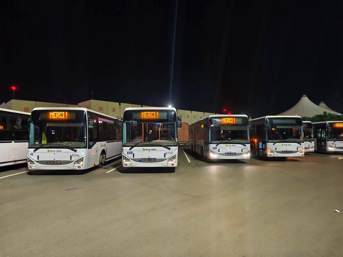 Accueil des Lions | Dispositif spécial de Dem Dikk pour transporter gratuitement les supporters des Champions d'Afrique venus les accueillir à l'Aeroport Blaise Diagne de  Diass. 

Vivez en images les temps forts partagés entre champions d’Afrique.

NB : Nos bus vous attendent à