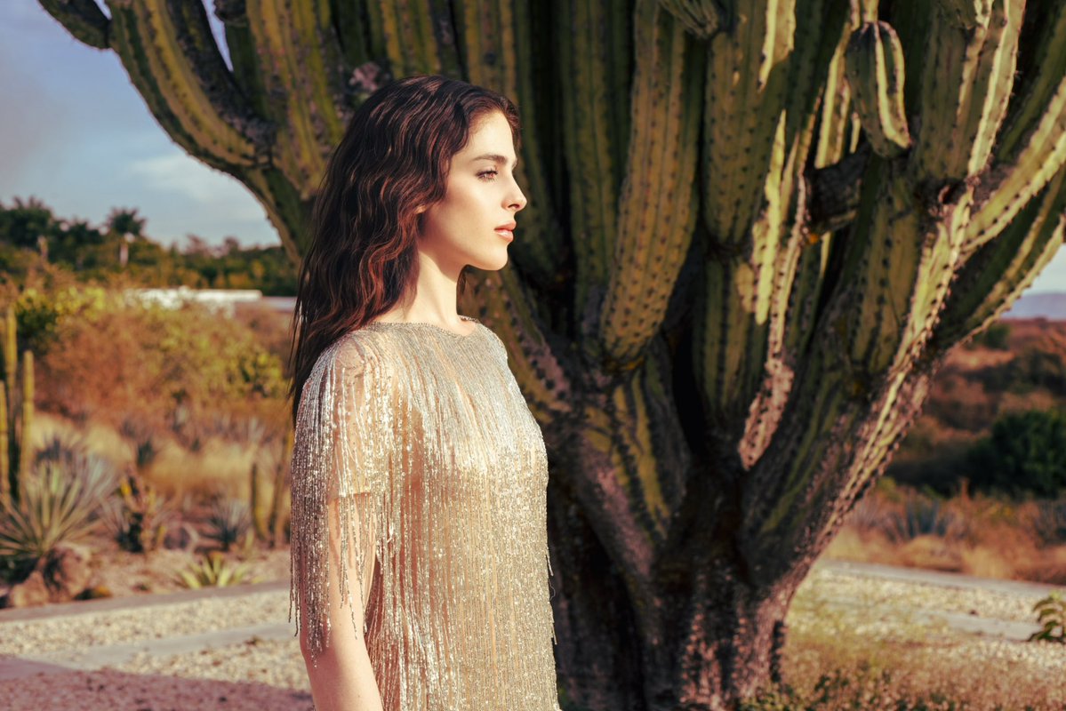 bosch_fatima's tweet image. 🌵🌜