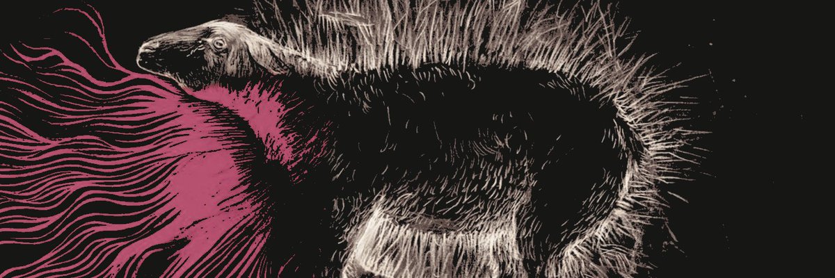 TRAGAFUEG0S's tweet photo. ㅤㅤ
ㅤ
ㅤㅤ ‘ no podrá con     la pena 
ㅤㅤ   mi persona, circundada
ㅤㅤ   de penas y     de cardos:  
ㅤㅤ   ¡tanto penar para 𝐦𝐨𝐫𝐢𝐫𝐬𝐞 uno!  ’

ㅤㅤ──── 𝐥𝐚 𝐞𝐣𝐞𝐜𝐮𝐜𝐢𝐨𝐧 ft. @CASTRONEGRORP 

ㅤ https://t.co/Pc6JKrK8N8