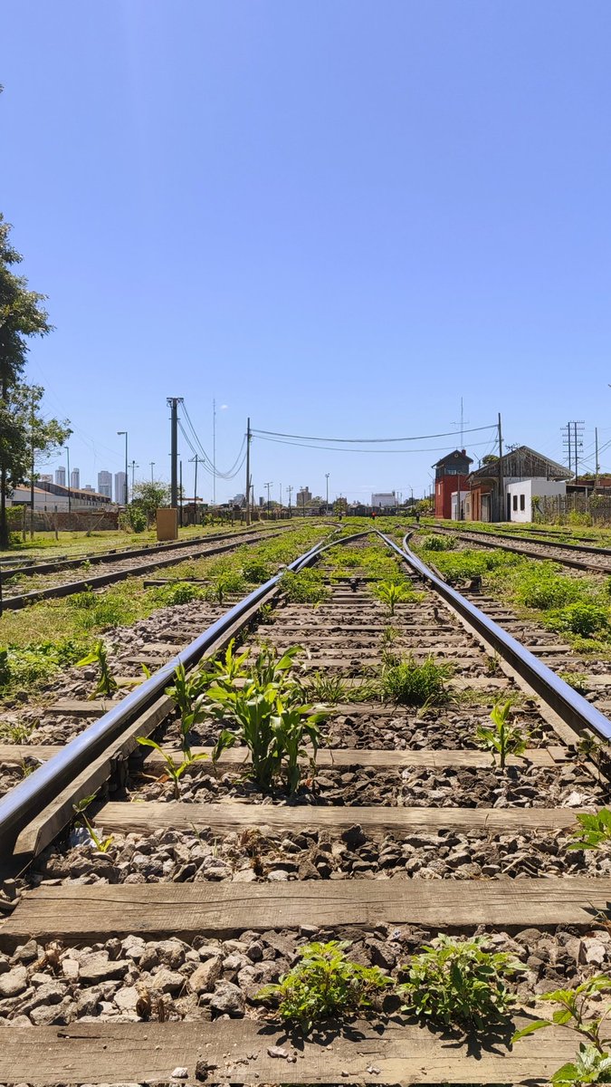 ferrocarril estación Ludueña
