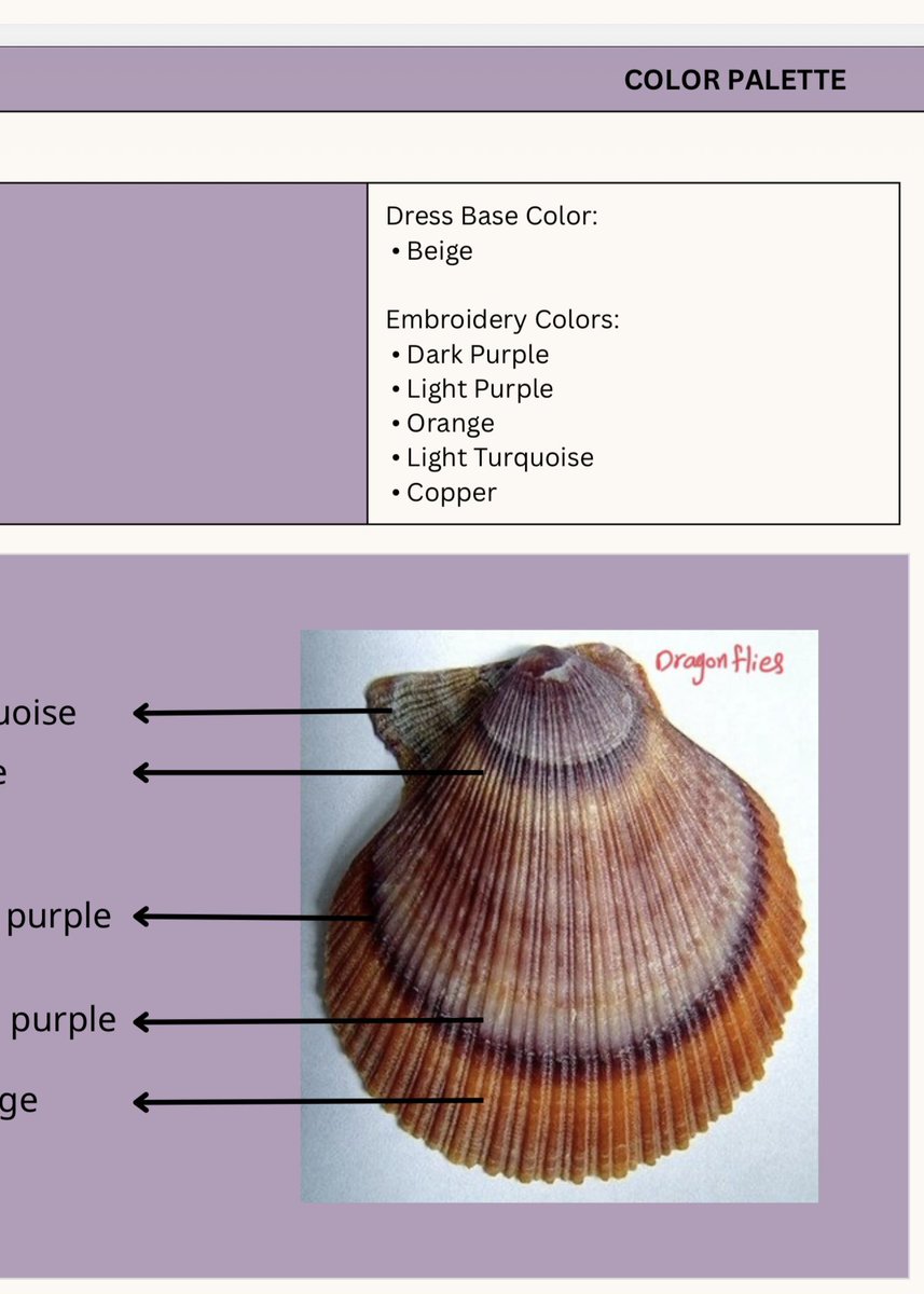 waadaloqaili's tweet image. First layer 🐚