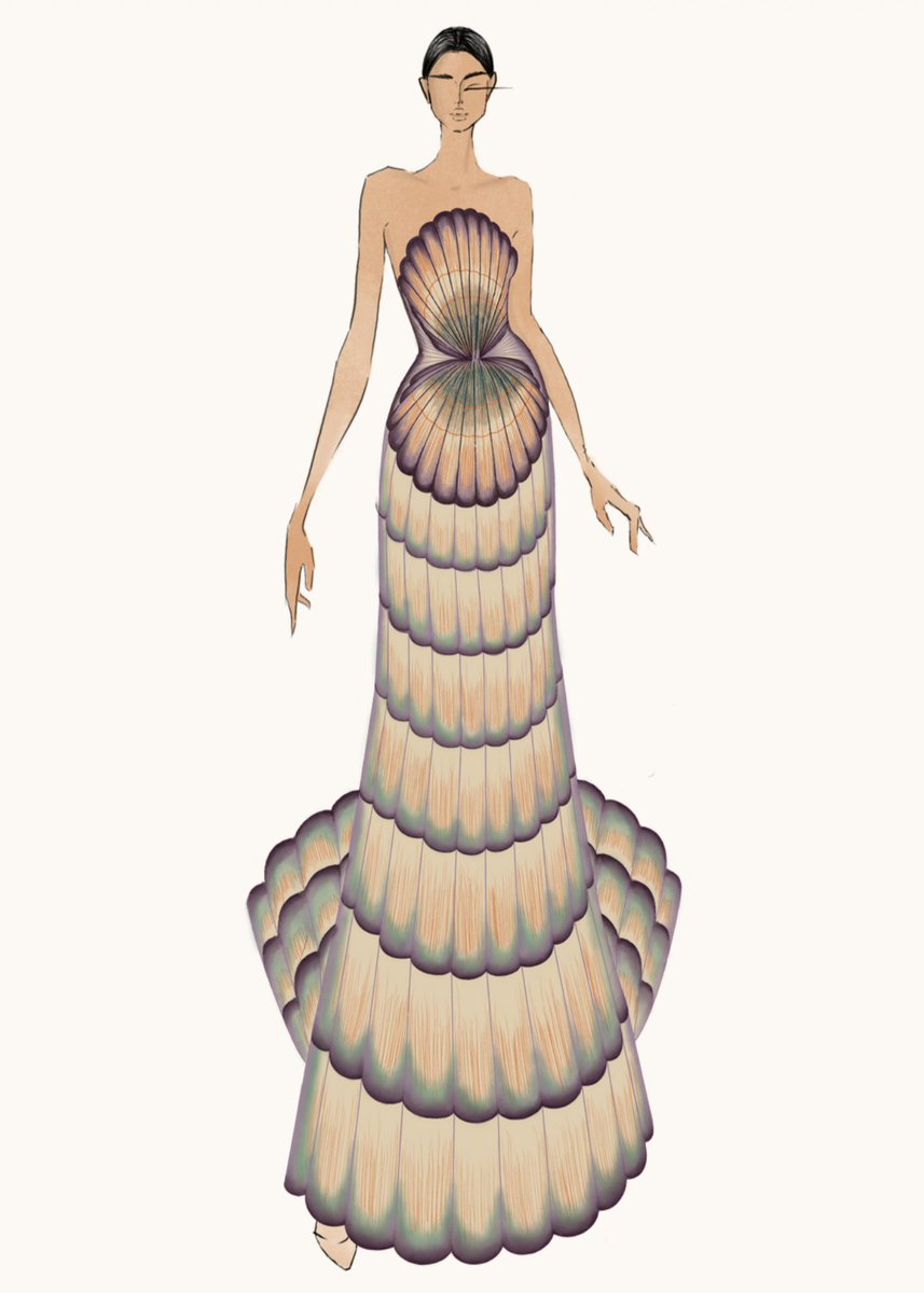 waadaloqaili's tweet image. First layer 🐚