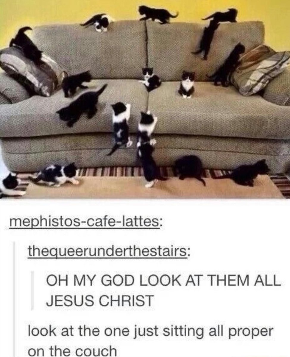 PunchingCat's tweet image. 