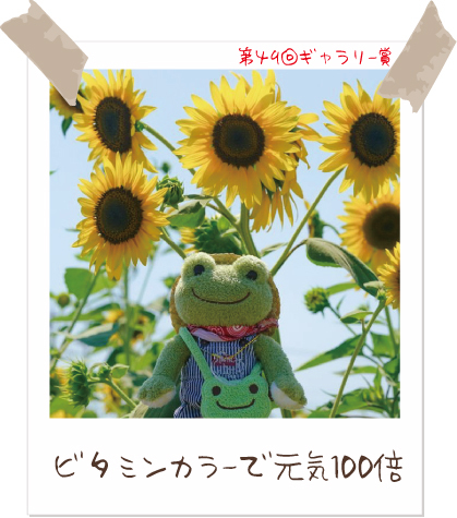 かえるのピクルス/pickles the frog (@picklesthefrog6) / Posts / X