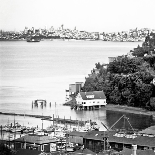 Eichler Network tweet media