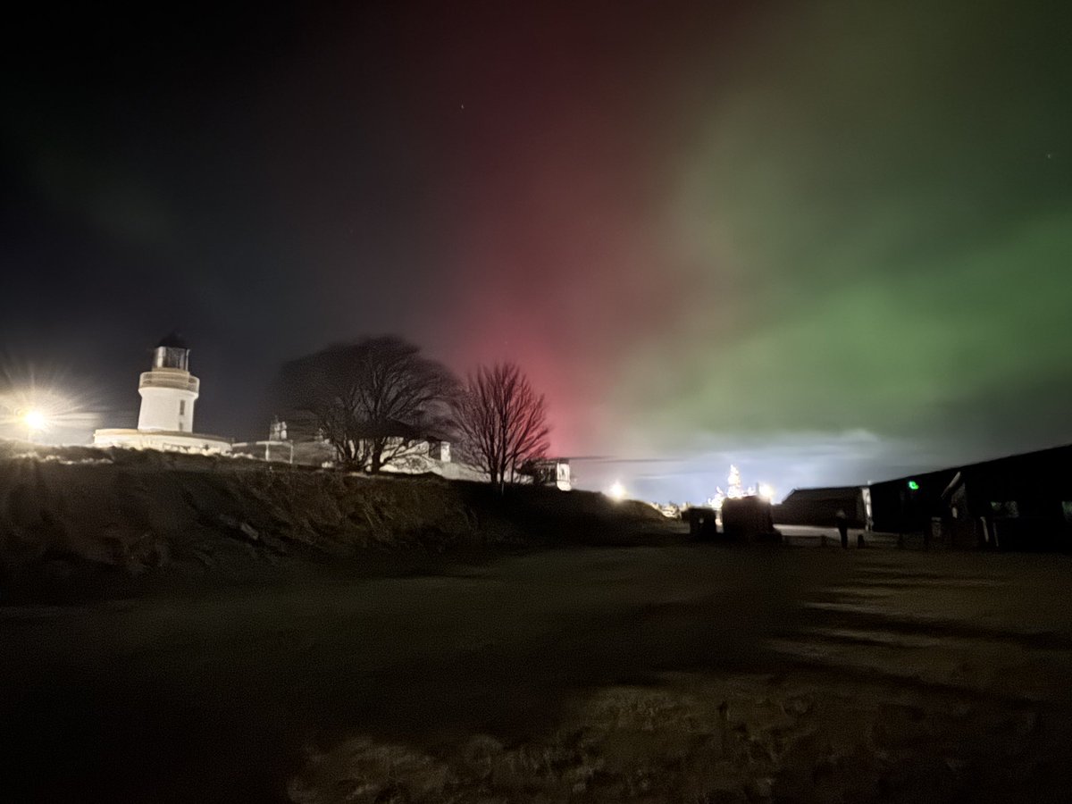 Claire MacKay tweet media