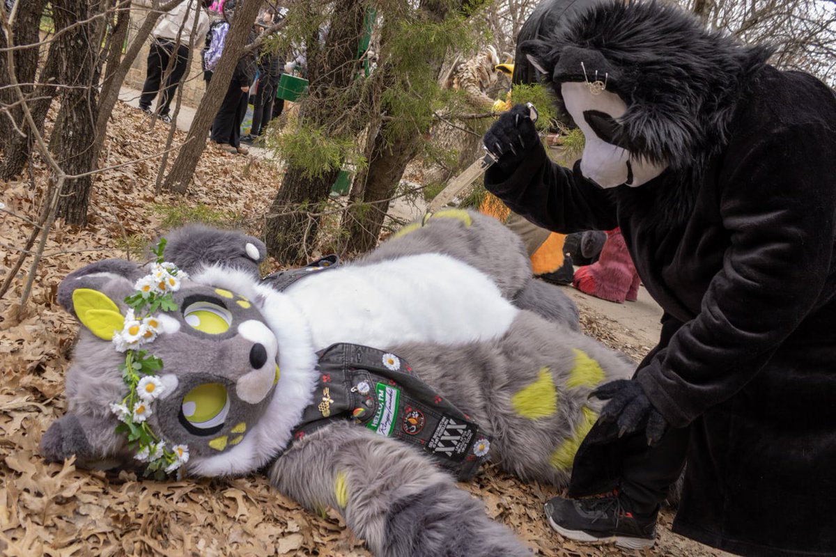 LostTelly's tweet image. I'll be right back
📷 @JaimeMWDart 👻 SpectreGheist