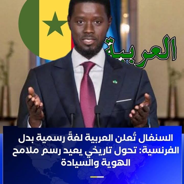 zahrasallam38's tweet image. السنغال تعلن اللغة العربية لغة رسميه بدل من الفرنسيه