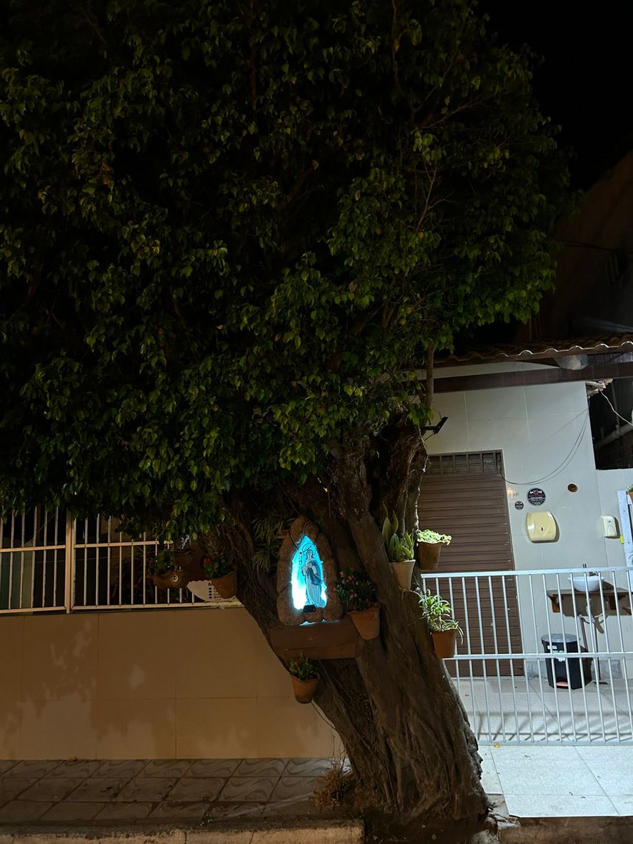 metmidnights's tweet image. impressionante como o catolicismo serve MUITO na estética