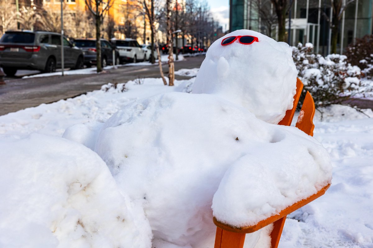 College of Communication, Boston University tweet media