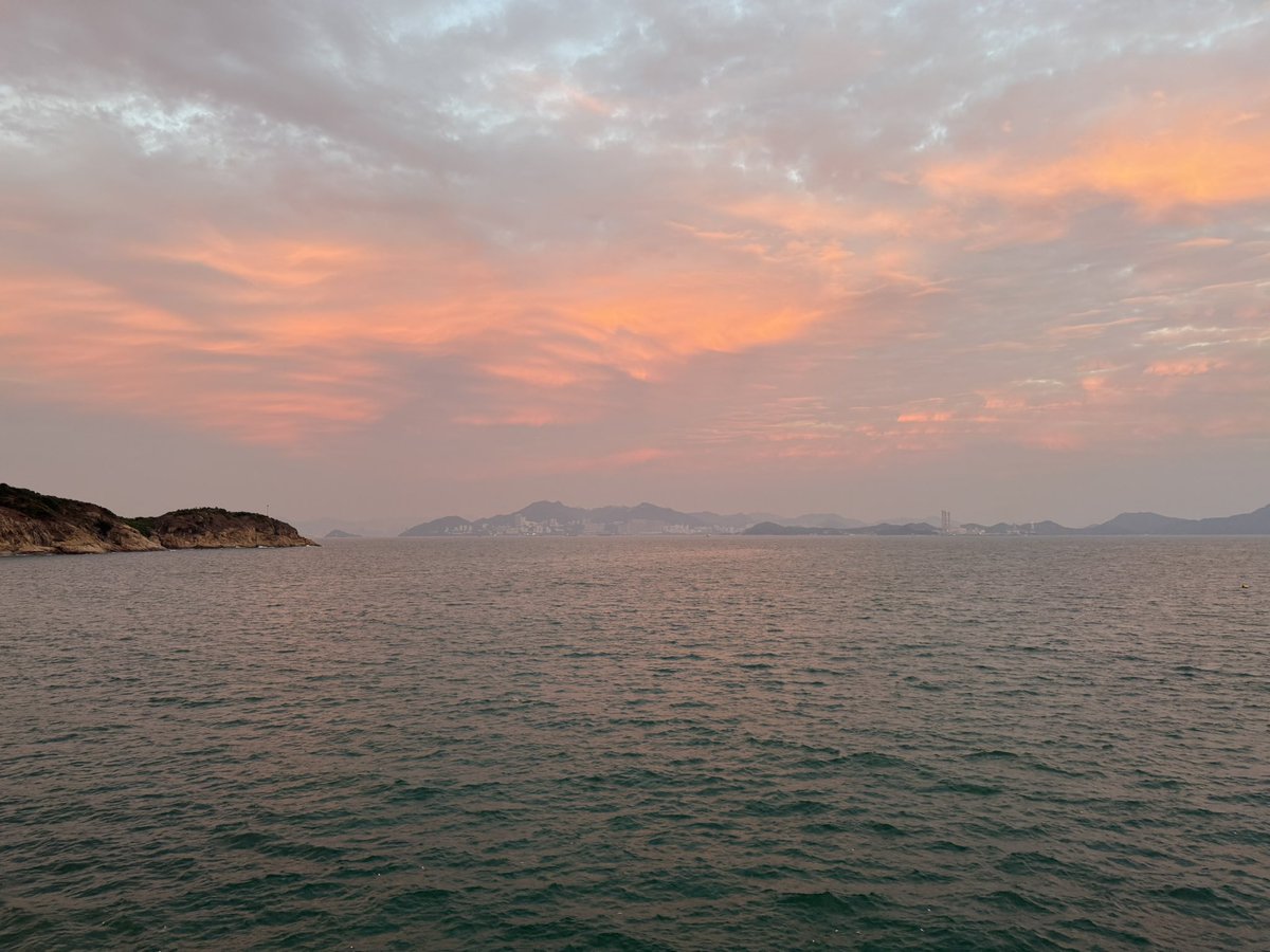 ✦ DOKI tweet media