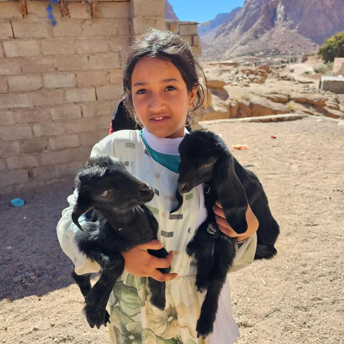 chunguskitten's tweet image. Every visible or invisible creature is a theophany or appearance of God.

Johannes Scotus Erigena