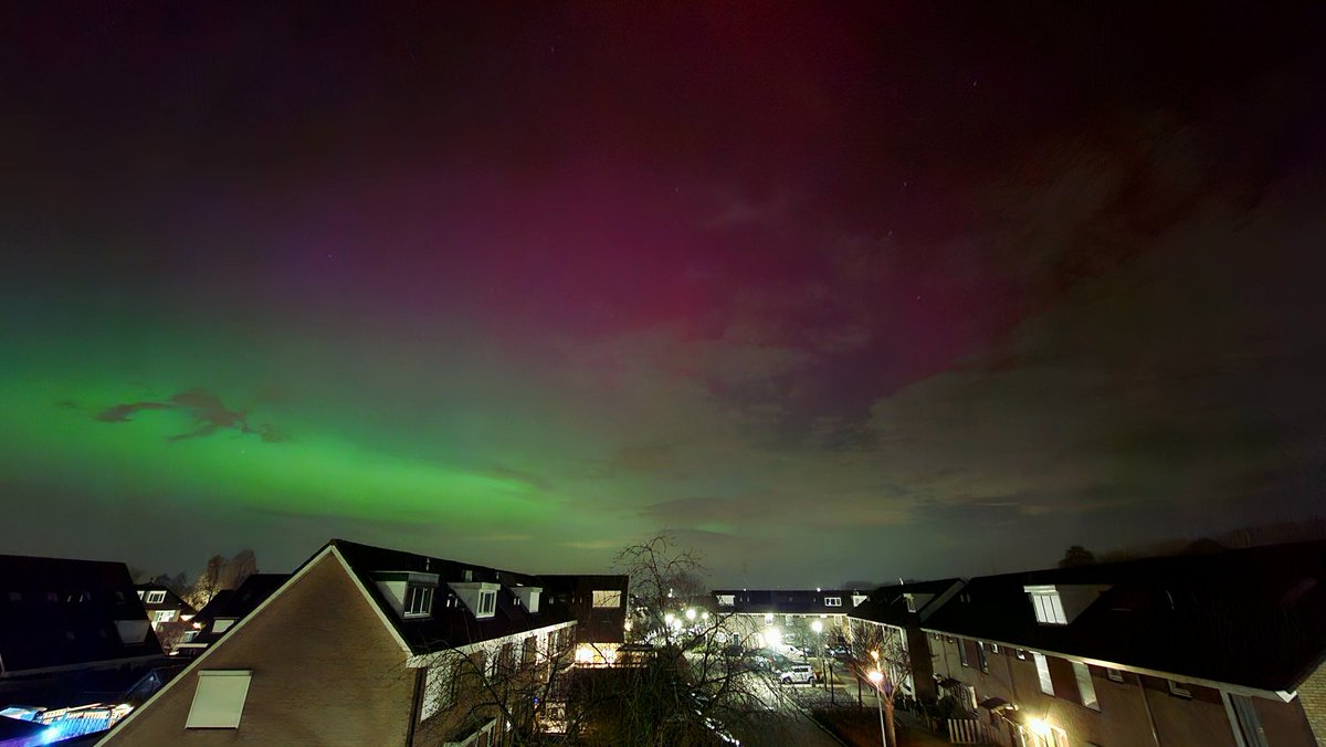 Tim Westerduin tweet media