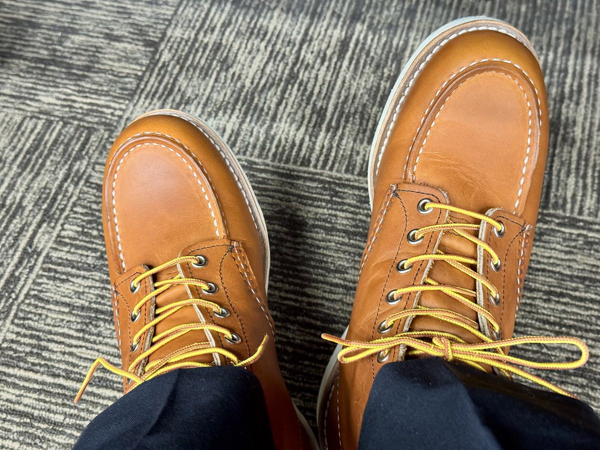 37returnBiker's tweet photo. 今日はこれ
中2日でローテする予定
#redwing
#redwing875
#レッドウイング https://t.co/6Py2BW4UsX