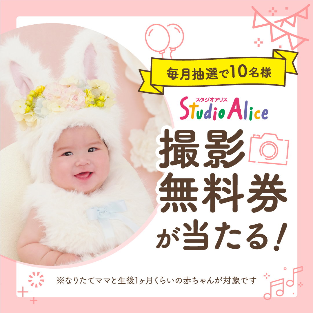 スタジオアリス (@studio_alice) / Posts / X