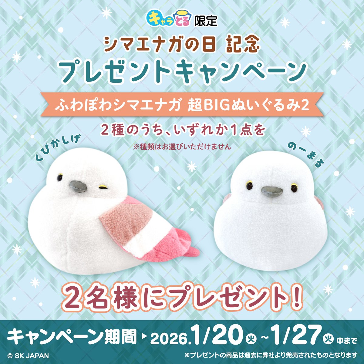 charatoru's tweet photo. ／
#シマエナガの日 記念
フォロー&amp;リポストキャンペーン
＼

1月20日はシマエナガの日！
『ふわぽわシマエナガ超BIGぬいぐるみ2』を抽選で2名様にプレゼント🎁

❄️応募方法
①「@charatoru」をフォロー
②この投稿をリポストで応募完了✔️

#シマエナガ #キャラとる https://t.co/rM9CsDSKU6