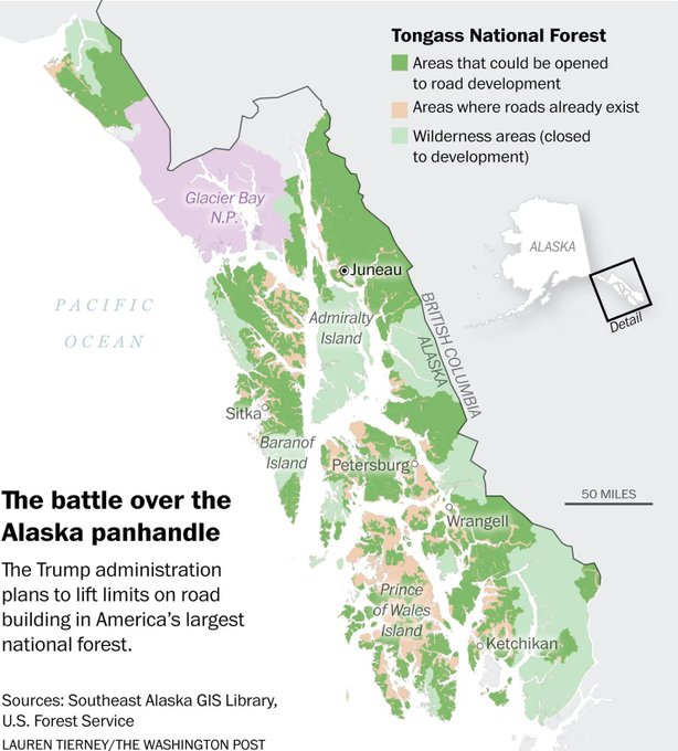 GO GREEN tweet media