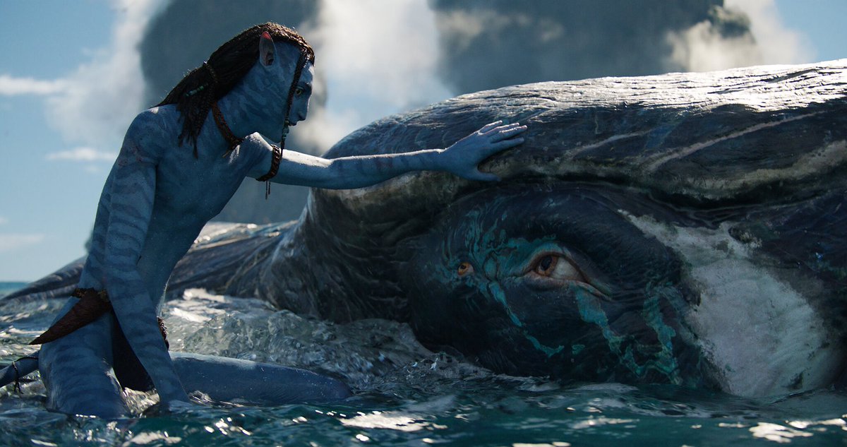 MomoyaySawaki's tweet photo. No amount of Tulkun plots will make me care about them like Humans/Na'vi

 James Cameron wants to make them a thing, but it's not happening.
Their councils are boring, no amount of "they have songs bro" will make them interesting

I also hope we never see the Metkayina again too https://t.co/JTUaVWHluS