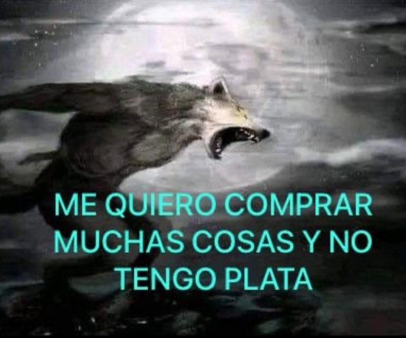 abr6zame's tweet image. 