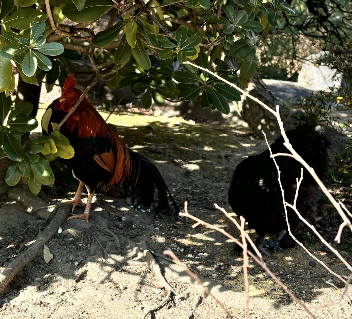 うにまる🍳 (@unimaru420) / Posts / X