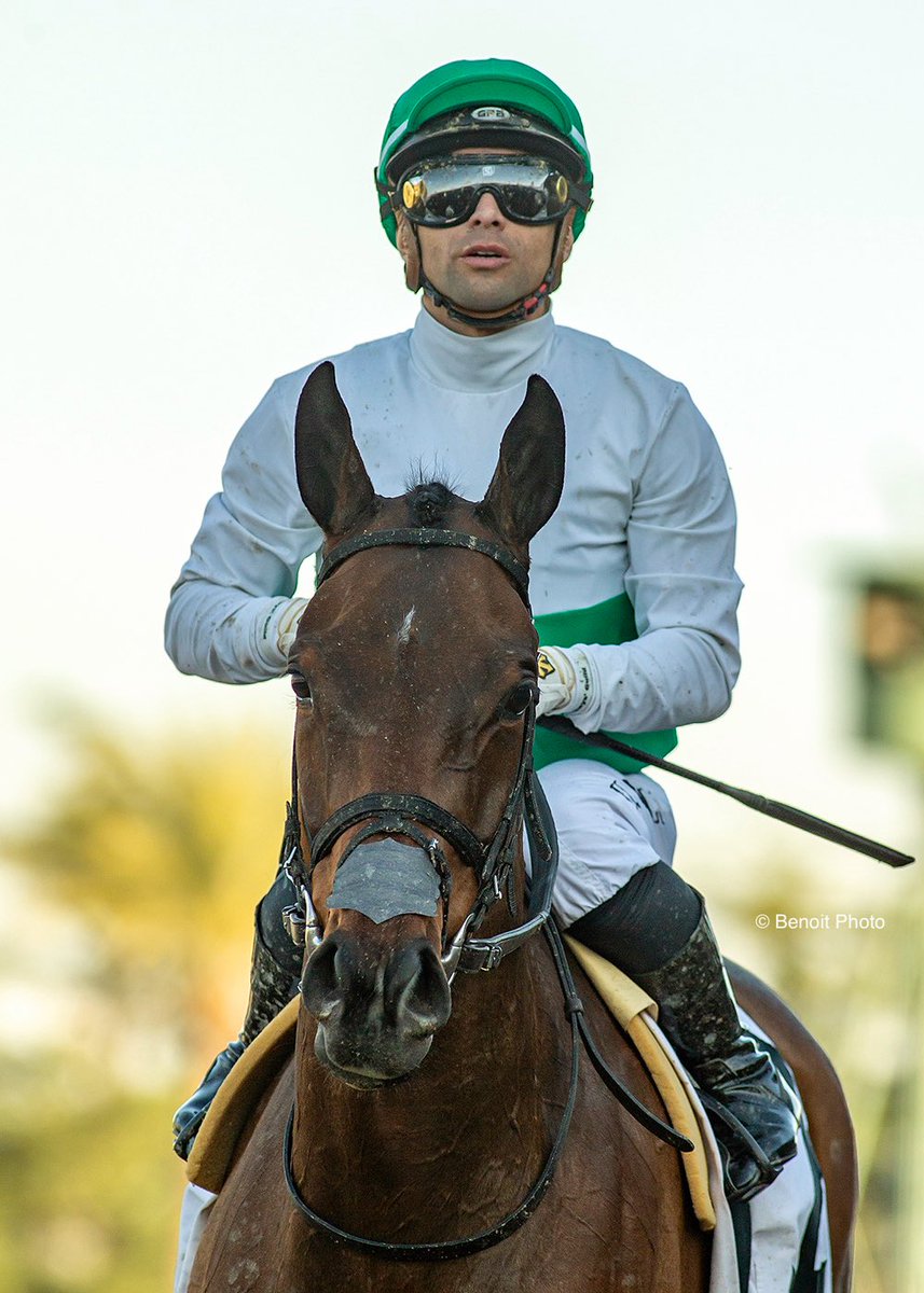 Benoit Photo tweet media