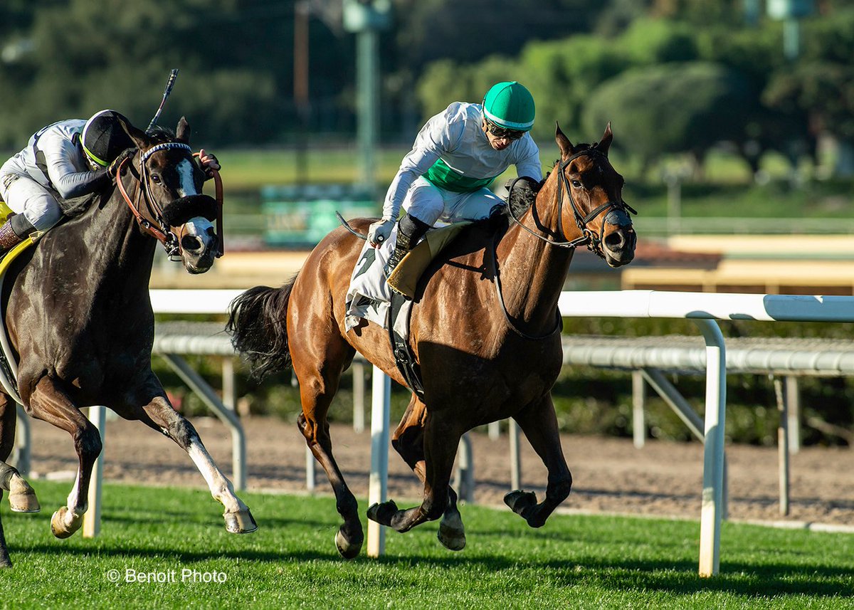 Benoit Photo tweet media