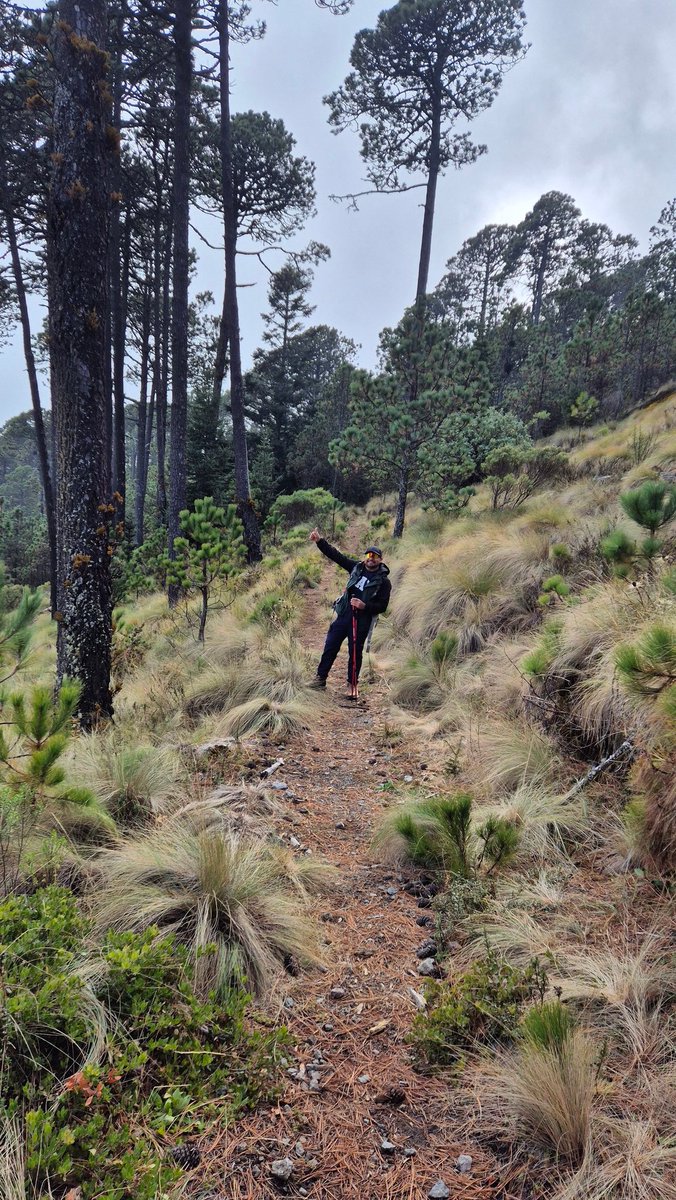 ta_fi_rool's tweet photo. #SeLogroCumbre #Tembladeras #CofreDePerote #Veracruz
Entendemos que no todos los senderos merecen ser recorridos, que hay rutas, lugares y personas que solo desgastan nuestra energía. Y así como elegimos una vereda más clara, aprendemos a alejarnos de lo que no suma https://t.co/xwG6moUb9q