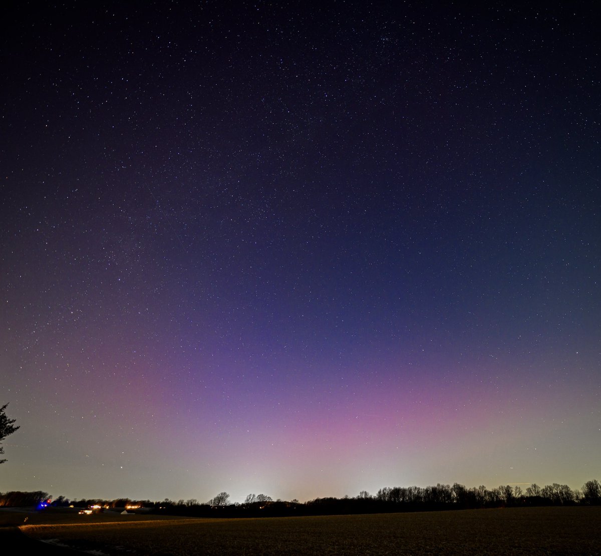 Scott Jacobson tweet media