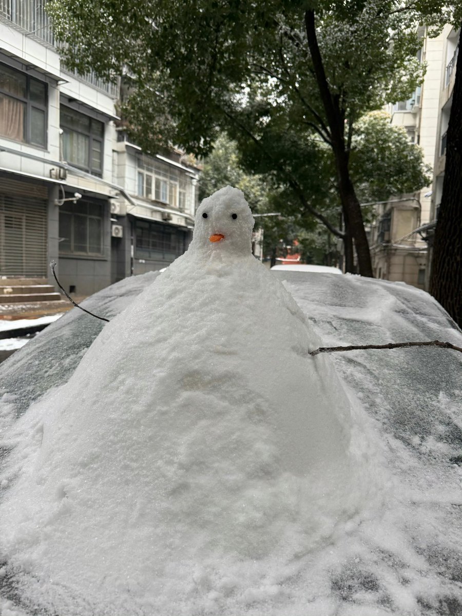 下雪啦❄️❄️❄️
#LibertyCats_app