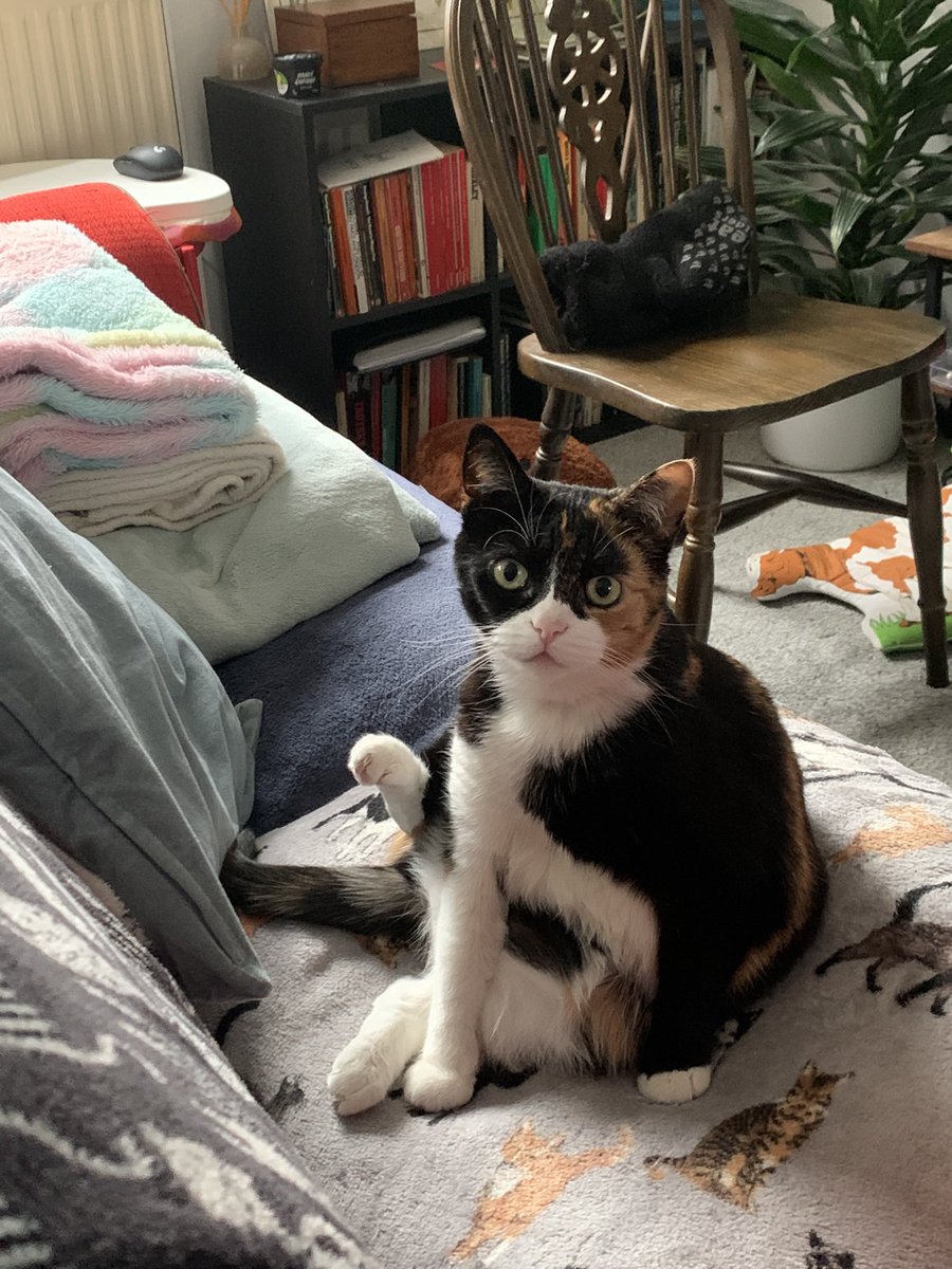 minky goblin tweet media