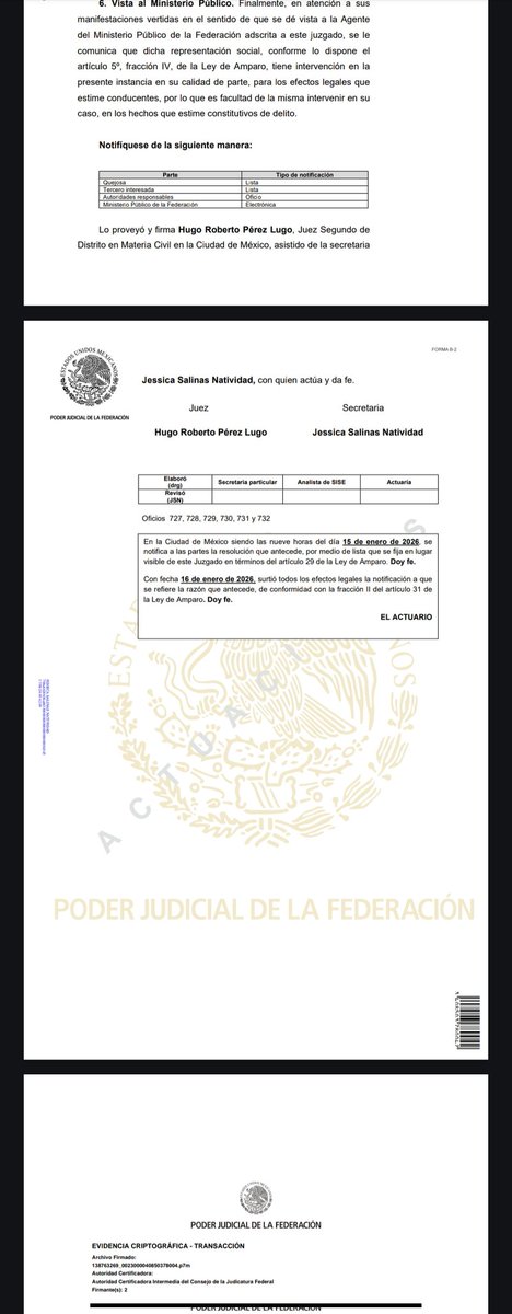 @Refugiofrranciscano gana, de nuevo, recurso legal para que <a href="/ClaraBrugadaM/">Clara Brugada Molina</a> transparente, en unas horas el lugar y las condiciones de los perritos y gatitos que tiene desaparecidos. El juez la apercibe de qye ningún animalito debe estar desaparecido.
Bien por este juez que ha