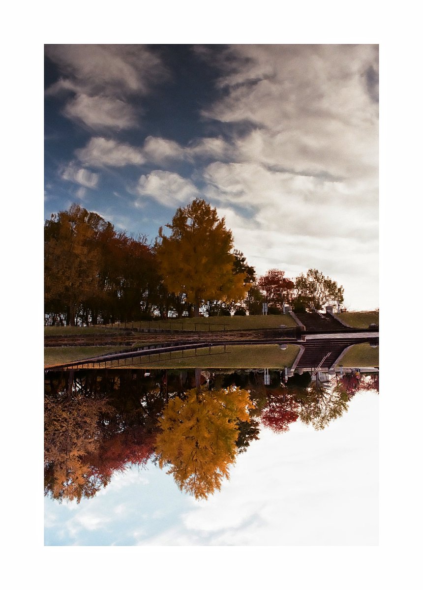 FORPRO_F's tweet image. Nikon F2
Ai NIKKOR 45mm f2.8P
Kodak ULTRAMAX 400