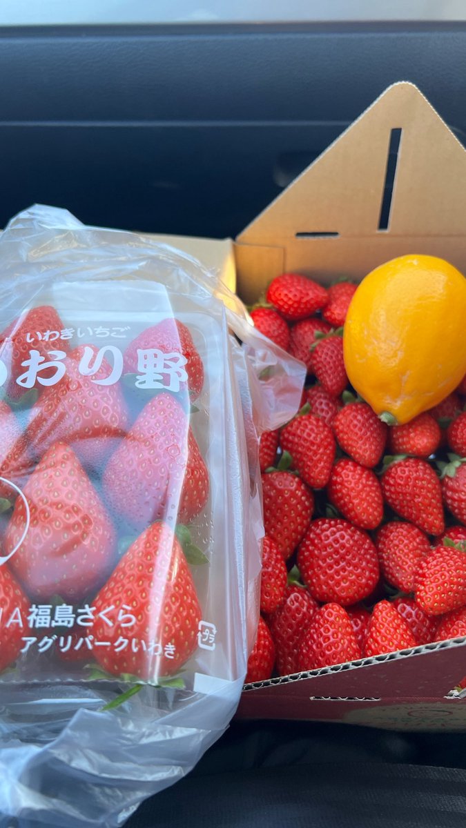いちご園で箱買いして
朝からいっぱい食べるの最高
#かおり野 #ゆうやけベリー
