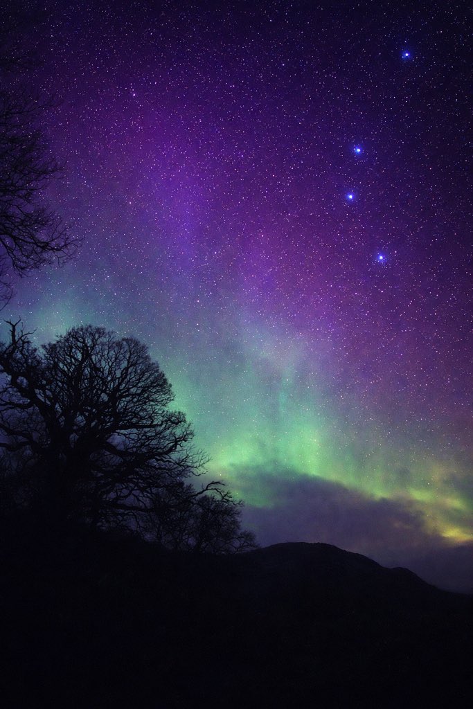 faerymere's tweet photo. And at last the cloudage clears - albeit temporarily - and Lady Aurora dances above my garden gate…

#Faeryland #Grasmere #LakeDistrict
#AuroraBorealis #NorthernLights 
@StormHour @ThePhotoHour https://t.co/HRDxVDVg8k