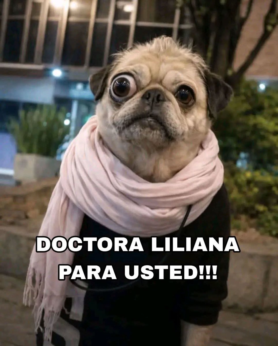 VenteDigo1's tweet image. Bueno Liliana