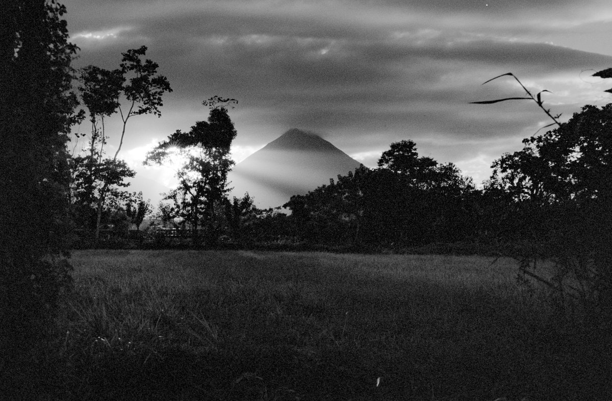 Alec Ploof tweet media