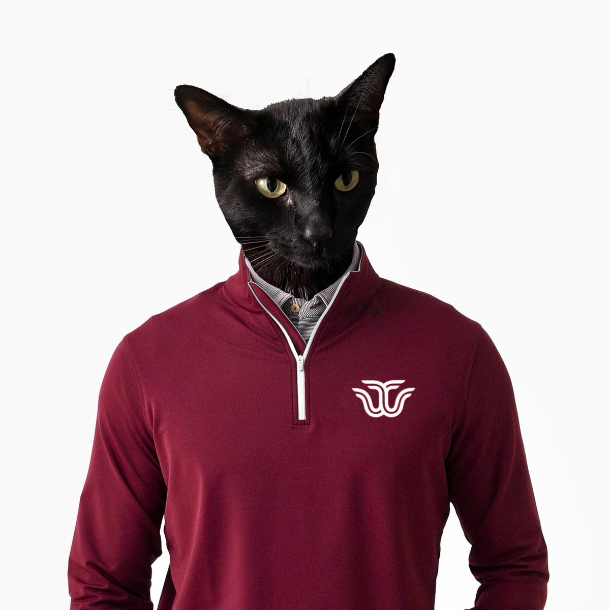 FakeJacobe's tweet image. #NewProfilePic