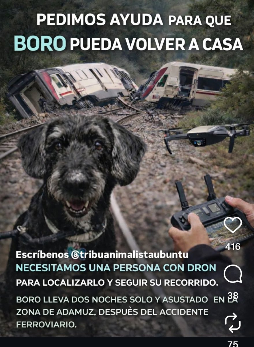 DueDiet's tweet photo. Gente con DRONES 
POR FAVOR 
#Boro https://t.co/7rcaxPF6mO