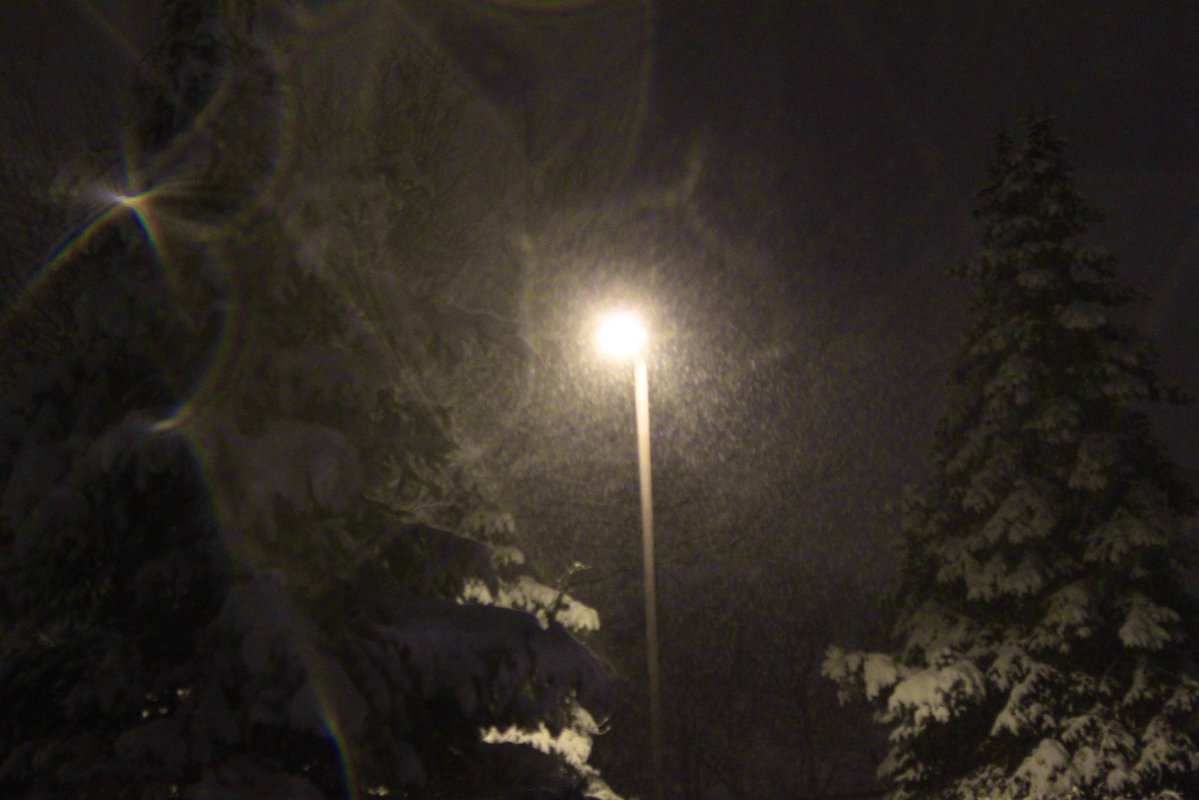 Burgeryearner's tweet image. 