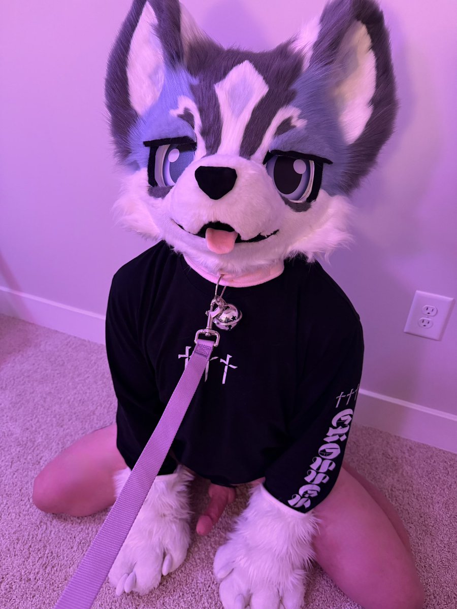 Winslow :3 🔞 tweet media