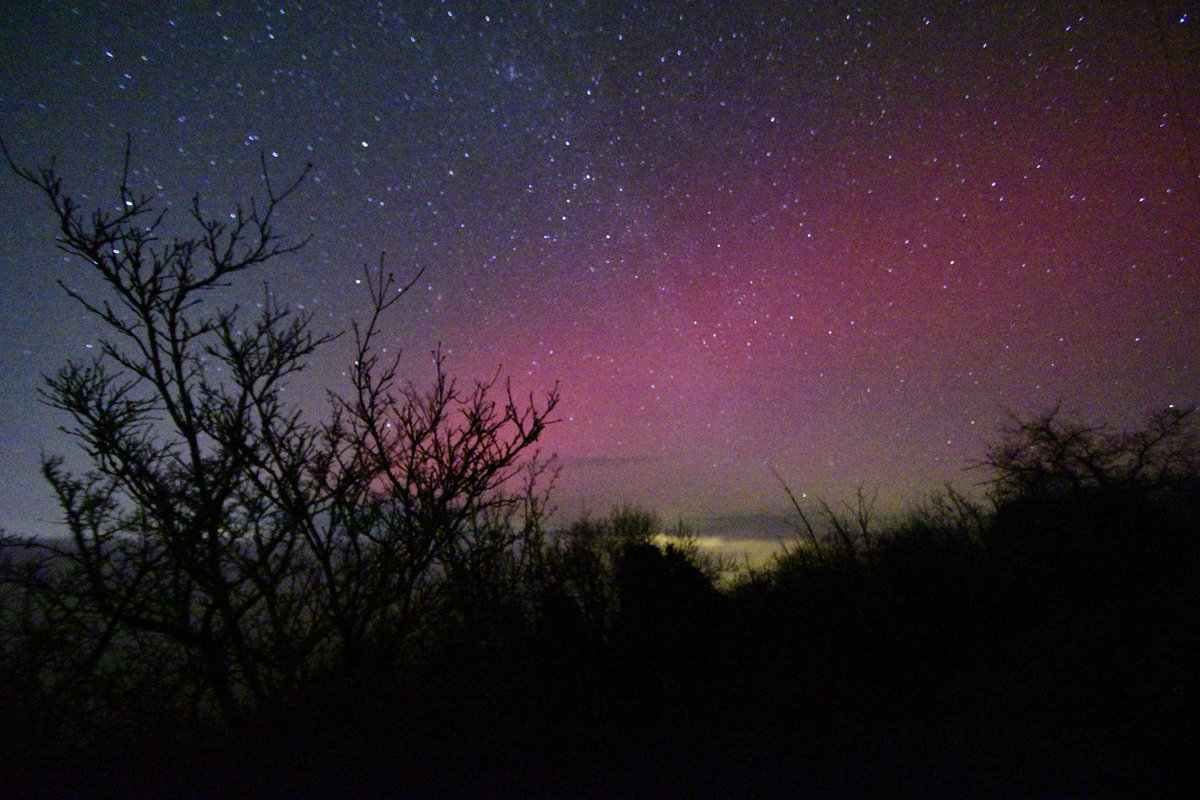 ⚡YanistorM⚡ tweet media